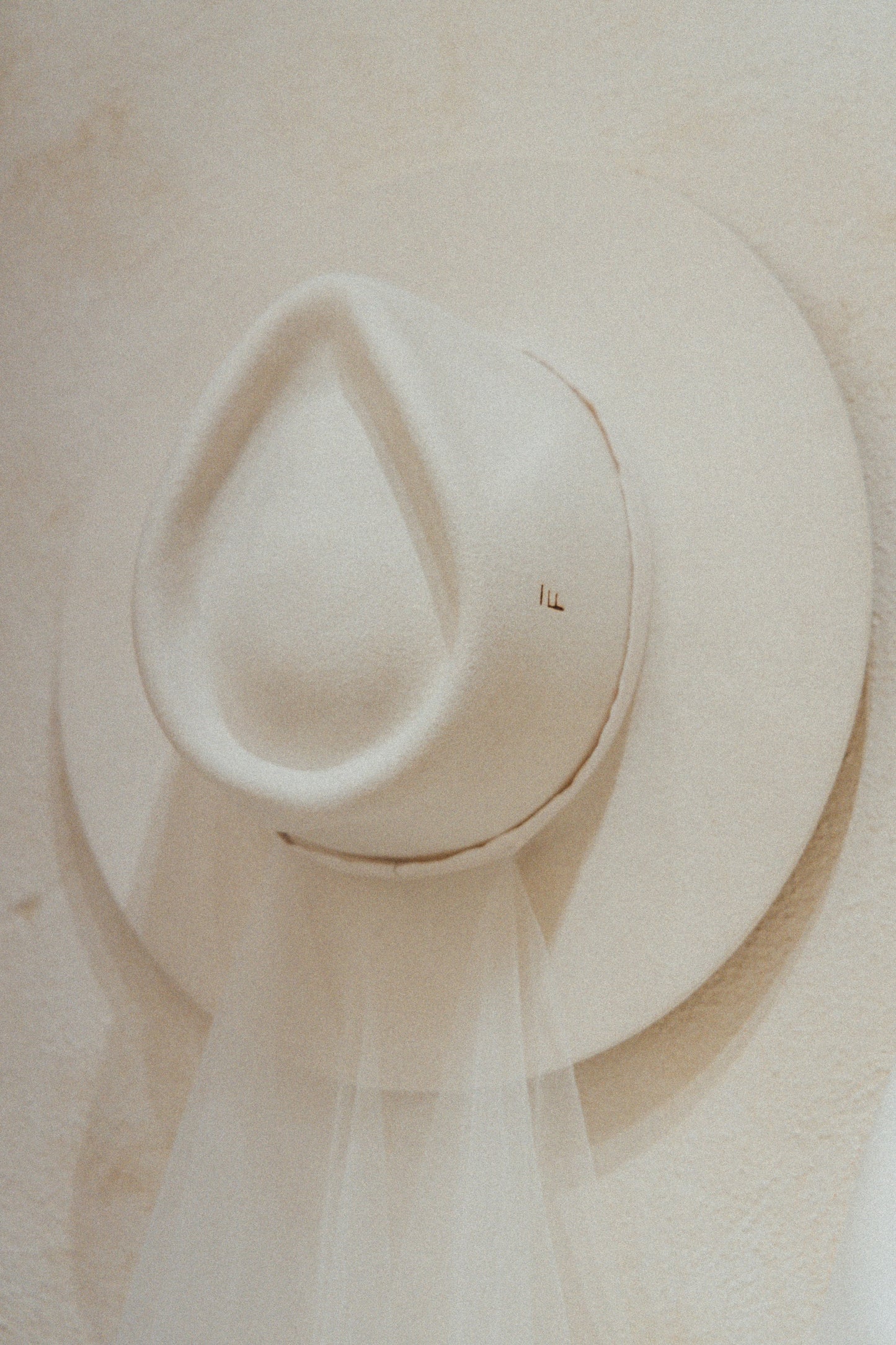 Bridal Veil Hat