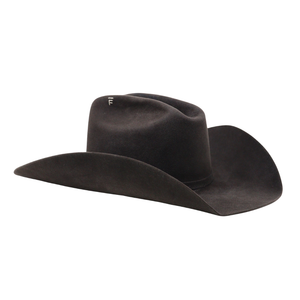 Desert Stallion