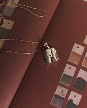 The Lucky Elephant
