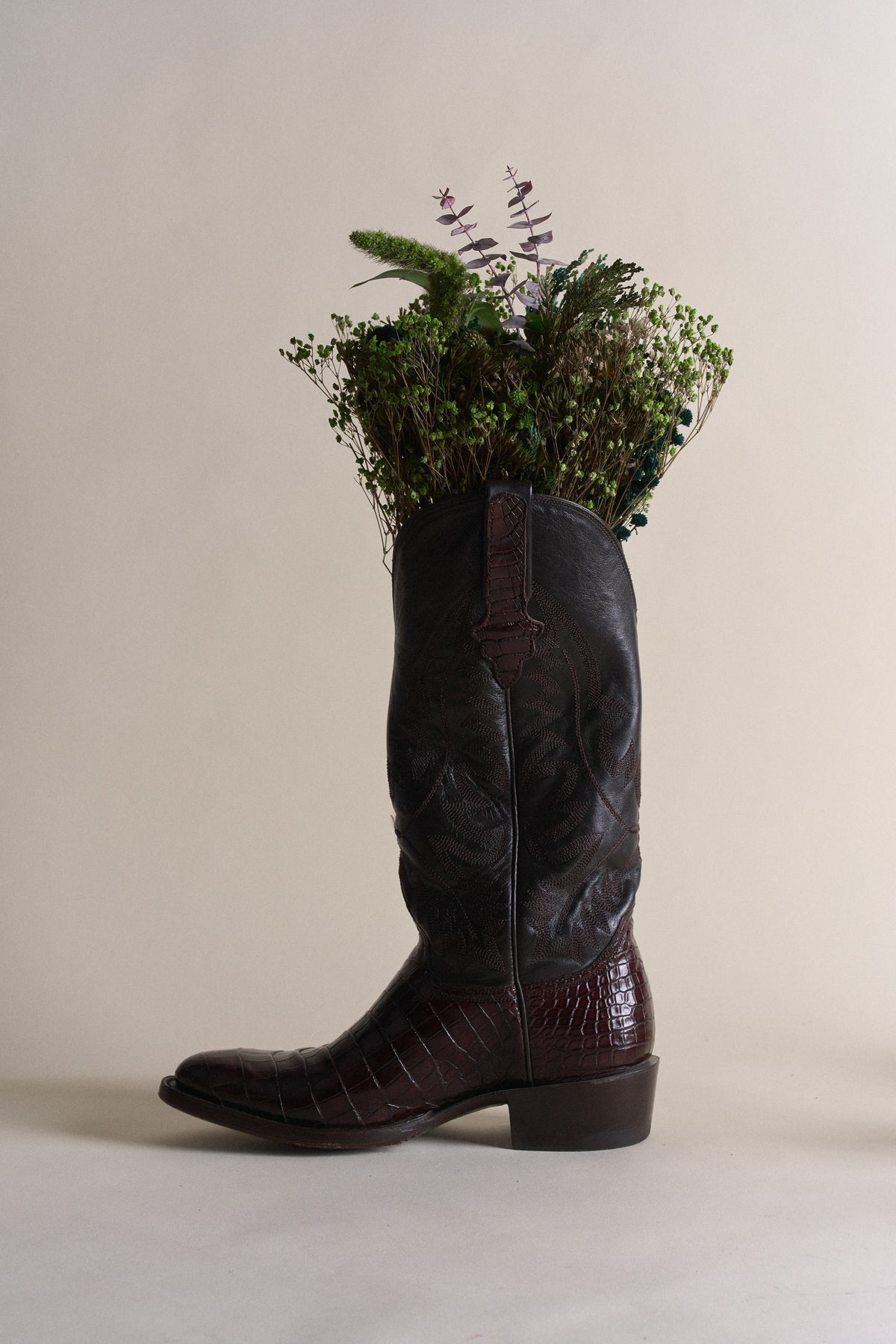 Mesquite — Luisa Fernē