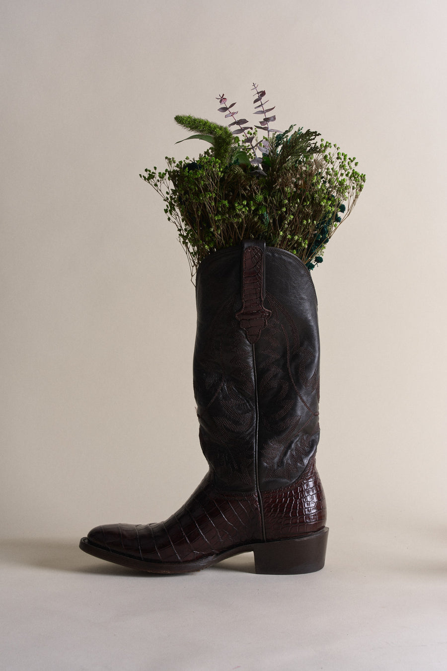 Mesquite — Luisa Fernē